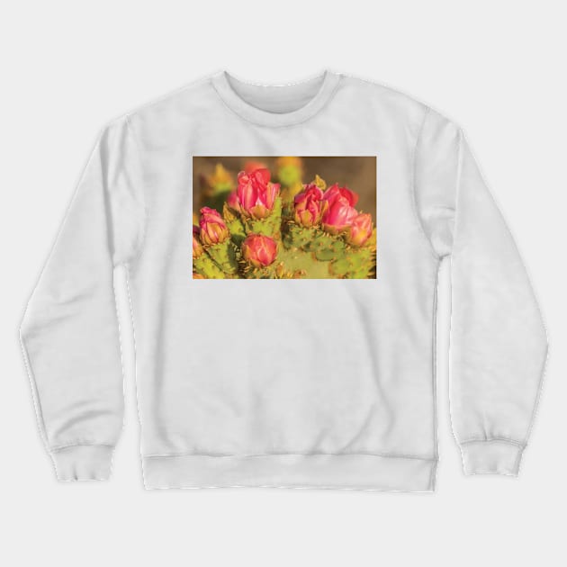 Prickly Pear Cactus Blossoms Crewneck Sweatshirt by TaivalkonAriel